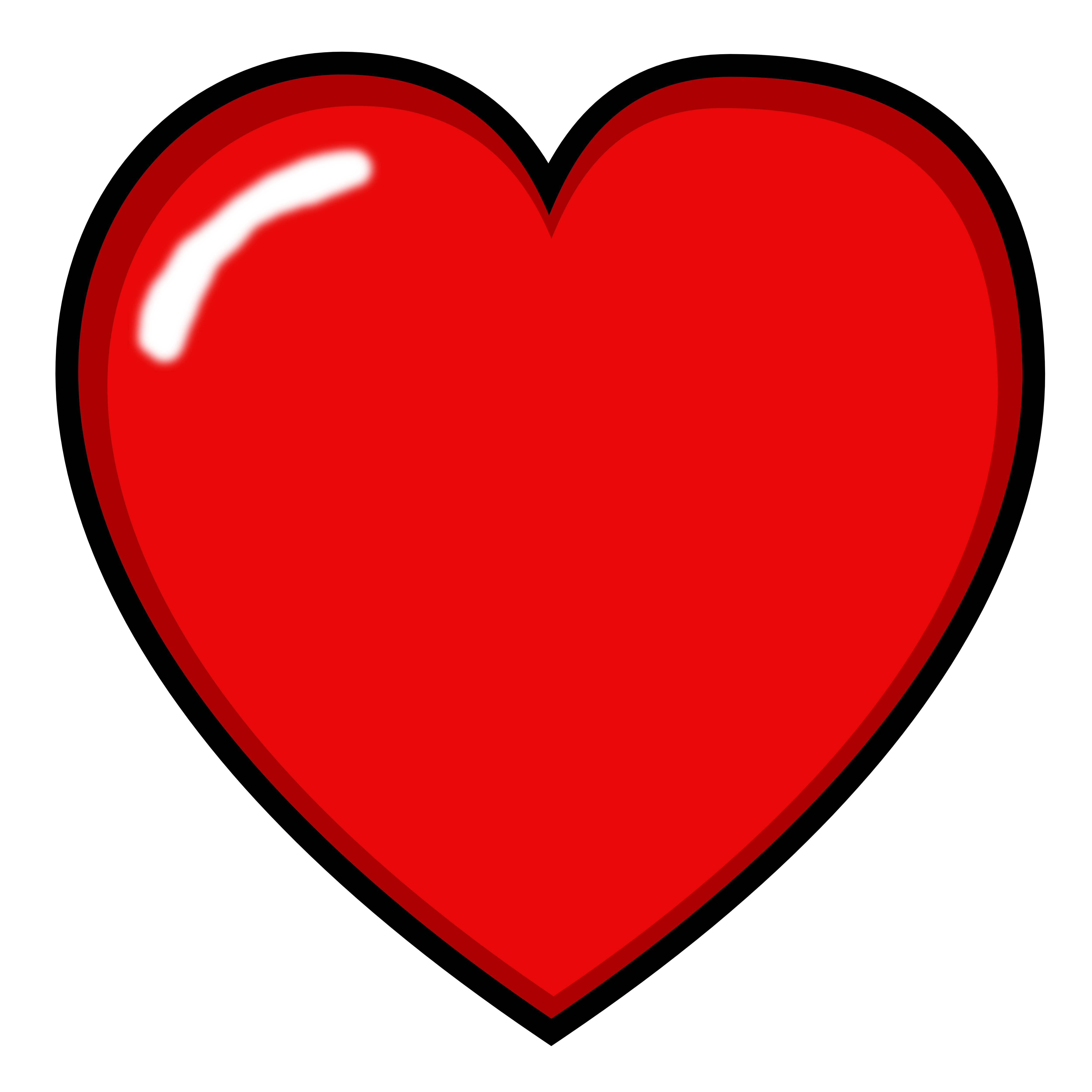 Heart